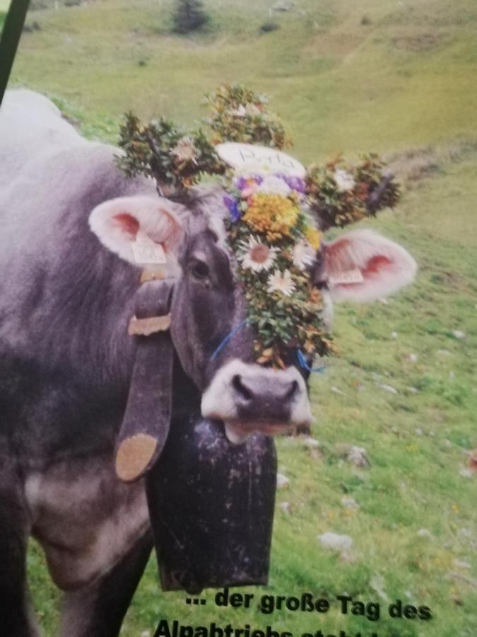 Ferienwohnung Auszeit Dornbirn Bagian luar foto